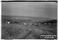 פוריה.