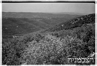 מבט מהר עצמון, 5/1952.