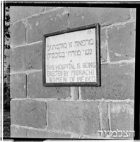 מזרחי, עלייה.