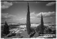 כפר כנא.