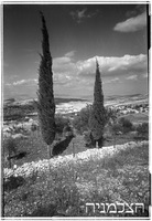 כפר כנא.