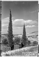 כפר כנא.