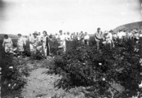 רוזה בבנימינה-שוני 1923