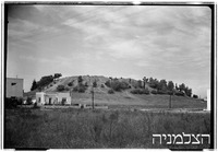 תל גריסה.
