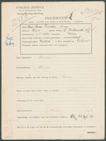 Applicant: Fischer, Theresa Sara; born 1.1.1881 in Vienna (Austria); widowed.