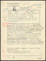 Applicant: Grosz, Irma; born 5.2.1906 in Miskok; single.