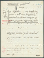 Applicant: Fleischer, Menasche (Max); born 29.1.1893 in Berkischestie; married.
