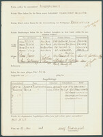 Applicant: Flederspiel, Adolf; born 10.12.1894 in Kozlow; married.