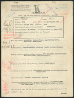 Applicant: Hall, Paul; born 12.5.1901 in Vienna (Austria); married.