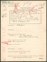 Applicant: Stein Recte Glaser, Laura; born 24.9.1913 in Vienna (Austria); single.