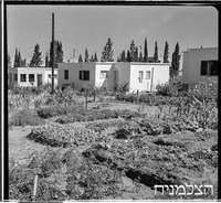 קריית ישראל, 10/1950.