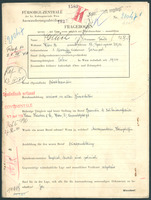 Applicant: Glück, Taube; born 1.11.1900 in Ternopilʹ (Ukraine); no status registered.