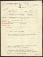 Applicant: Gerstl, Heinrich; born 15.3.1874 in Fünfkirchen; married.
