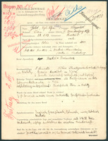 Applicant: Gold, Leopold; born 29.5.1903 in Krakow (Poland); married.