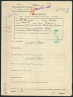 Applicant: Hammer, Chaim; born 25.1.1893 in Kimpolung; single.