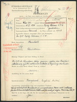 Applicant: Glaser Geb Faul, Marianne; born 10.2.1896 in Teplice (Czech Republic); divorced.
