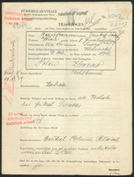Applicant: Kaufmann, Jankef Josef; born 23.12.1890 in Sassora; married.