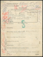 Applicant: Kawalek, Salomon; born 28.12.1886 in Husi︠a︡tyn (Ukraine); married.