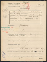 Applicant: Kern-piper, Jone Led Israel; born 3.1.1894 in Delatyn; married.