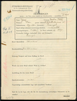 Applicant: Jenei, Karoline; born 17.1.1883 in Przemysl; married.