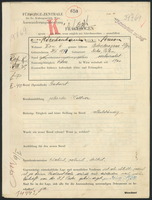 Applicant: Kirschenbaum, Simon; born 21.5.1874 in Nisko (Poland); married.