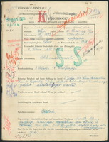 Applicant: Kierschenbaum, Schoel Nute; born 18.11.1892 in Lubartow; married.
