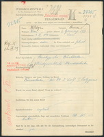 Applicant: Klüger, Anna; born 6.12.1894 in Vienna (Austria); single.