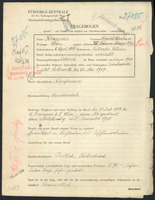 Applicant: Klausner, Heinrich Abraham; born 8.4.1878 in Načeradec (Czech Republic); married.