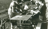 חג המשק, חג שדה, משימות לפי חמולות, חמולת בן גוריון, אדר, קרליץ, מכינות ארוחה לקבוצה: חנה פלד, לאה קרליץ וברוריה בן גוריון.