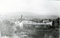 טיול ותיקיים לאילת. חוה ברק, רינה ירחי, לוטה, גילה הינמן.