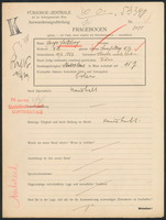Applicant: Feldberg, Feige; born 10.10.1853 in Plancza Mala (Poland); widowed.