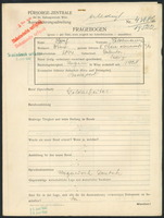 Applicant: Feldmann, Josef; born 1894 in Galanta (Slovakia); single.