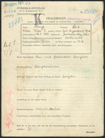 Applicant: Fenig, Leib; born 28.7.1892 in Novyĭ I︠A︡rychiv (Ukraine); married.