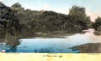 תל דן