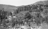 עין כרם 1956