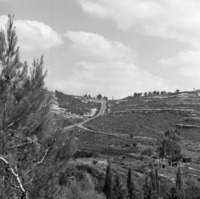 מבשרת 1964