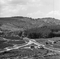 מבשרת 1964