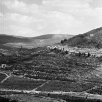 מבשרת 1964