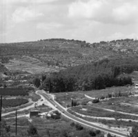 מבשרת 1964