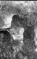 מוצא, קולוניה 1940