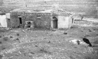 מוצא, קולוניה 1940