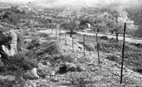 מוצא, קולוניה 1940