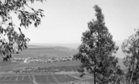 כפר חיטים