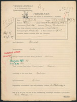 Applicant: Hirsch, Sofie Sara; born 1.7.1865 in Jassy; widowed.