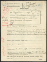 Applicant: Hirschbein, Moritz Viktor; born 11.4.1878 in Heinzendorf (Poland); married.