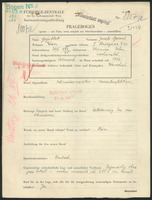 Applicant: Grynblat, Josek-Baruch; born 20.4.1894 in Stopnica (Poland); married.