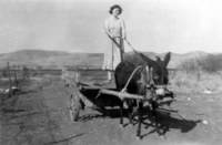 חנה אשכנזי רוכבת בשדות יסוד המעלה. שנת 1950. חנה נולדה בשנת 1917 נפטרה בשנת 1993.