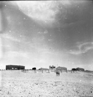 גבעת רחל-קציעות 1951