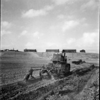 גבעת רחל-קציעות 1951