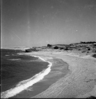 פלמחים 1953-6